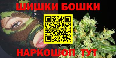 гашик Камышлов