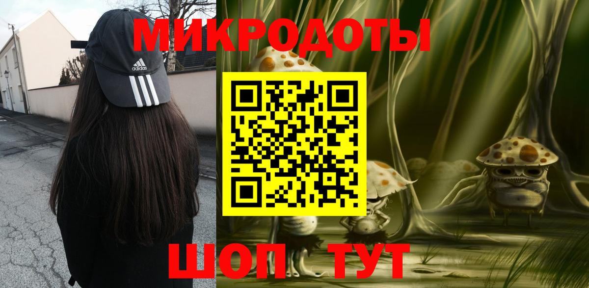 Галлюциногенные грибы Cubensis Курчалой